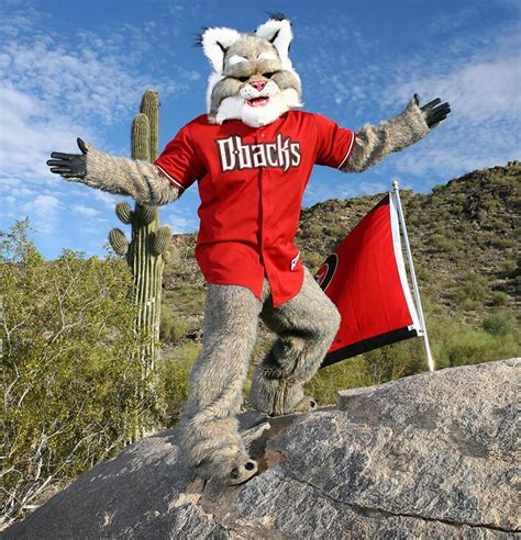 Bobcat mascot uniform